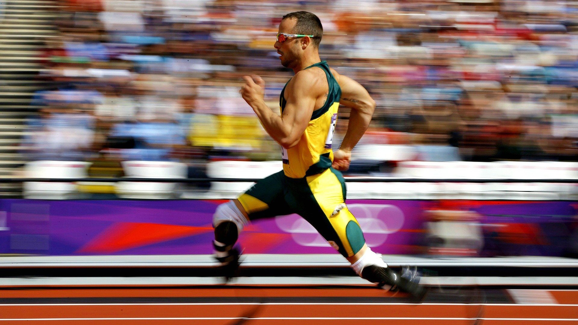 3届冠军+92%胜率！樊振东全运归来，除了马龙谁能挡？，樊振东世界冠军